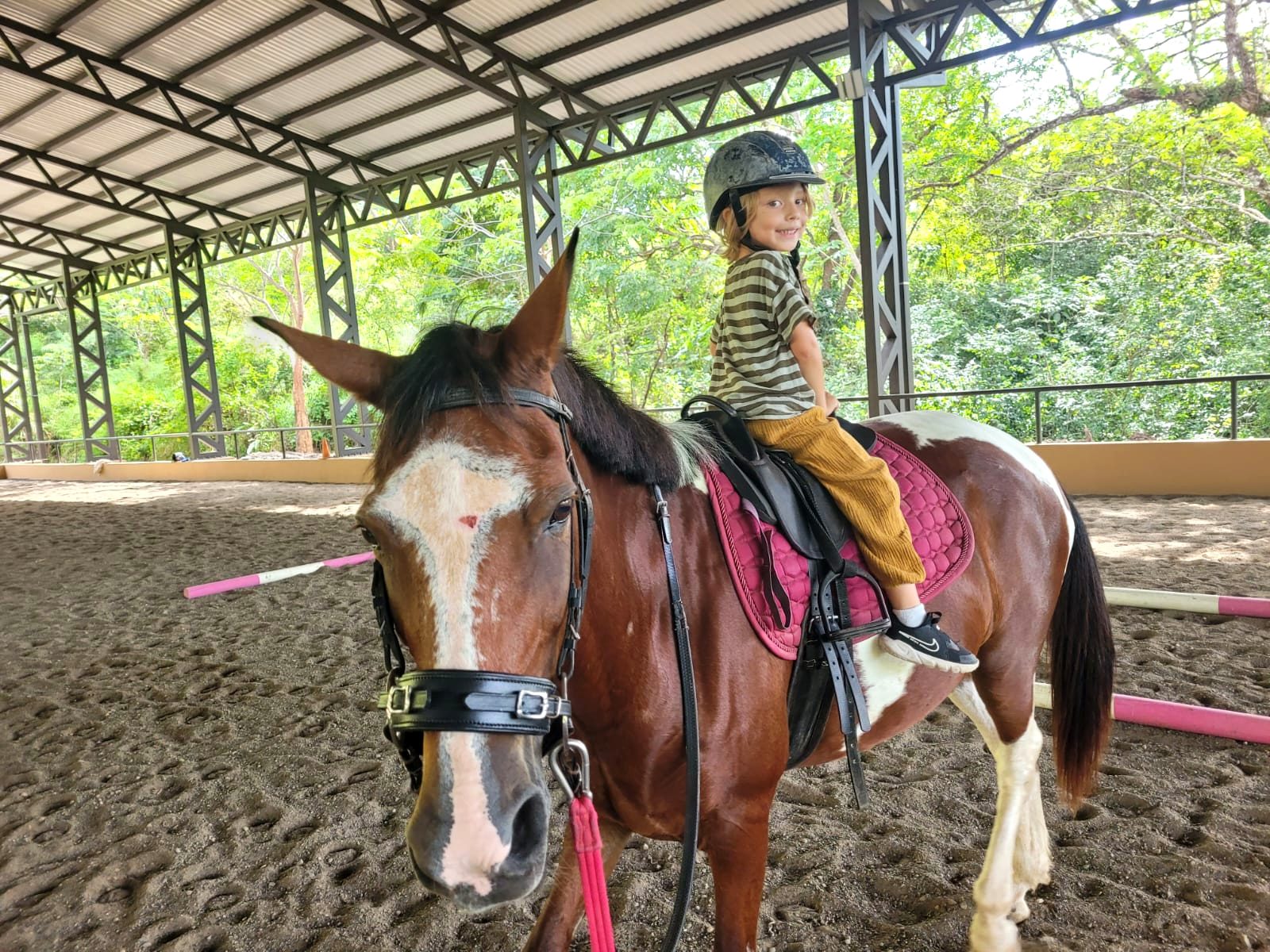 Young rider on a pony in the covered arena