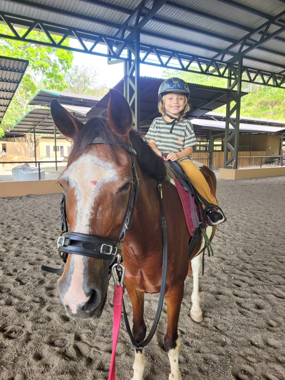 Young rider smiling on a pony