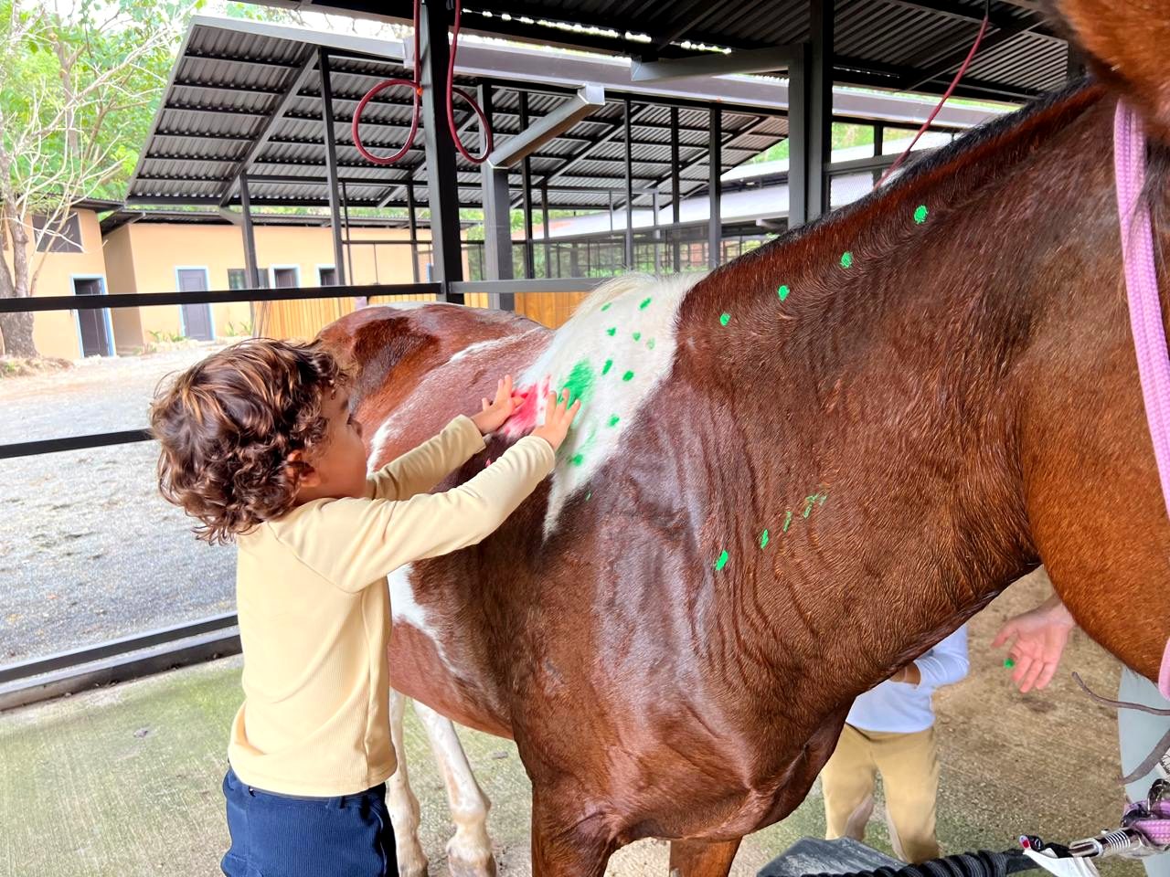 Child painting on a horse at the kids club