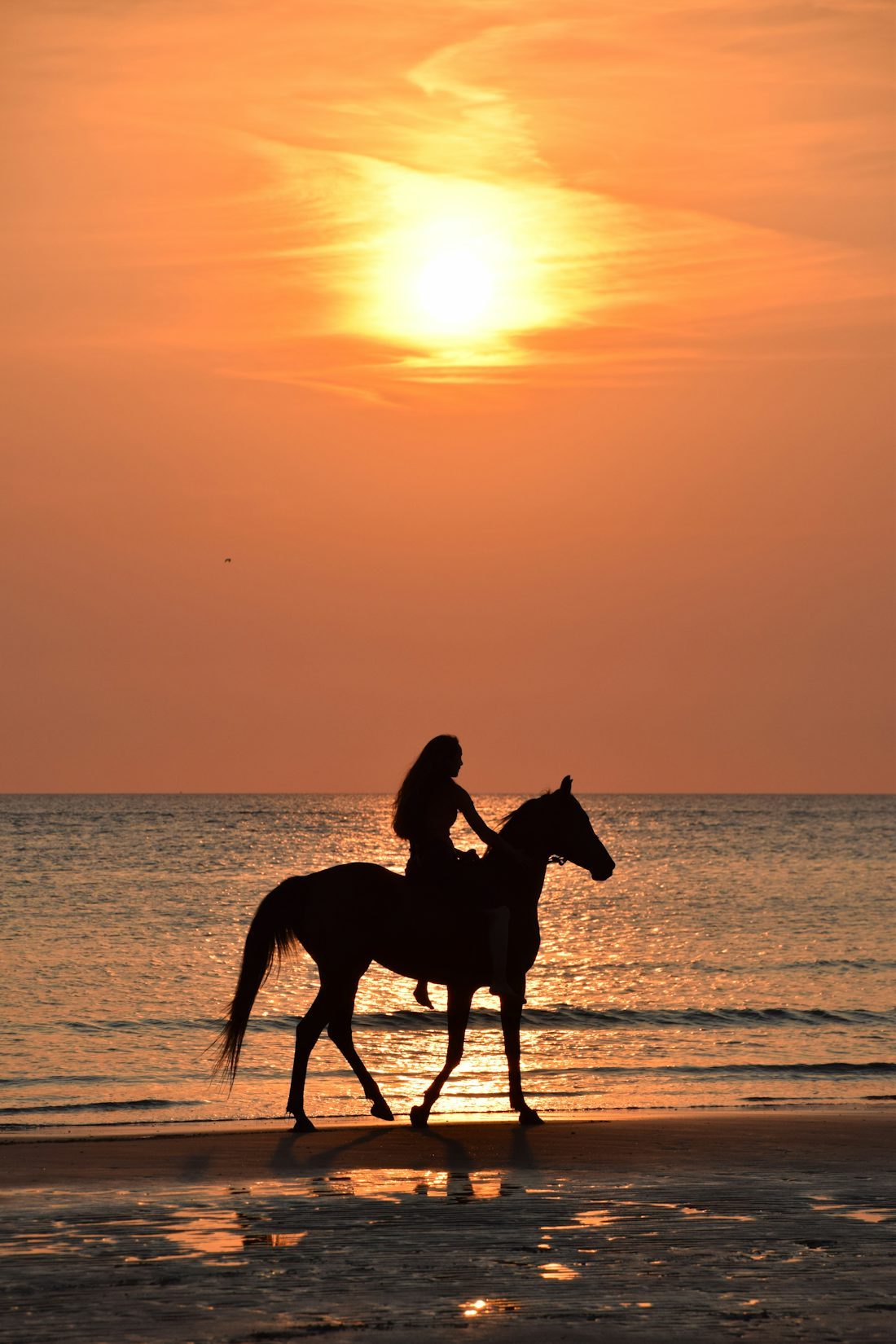 Rider silhouetted on the beach at sunset