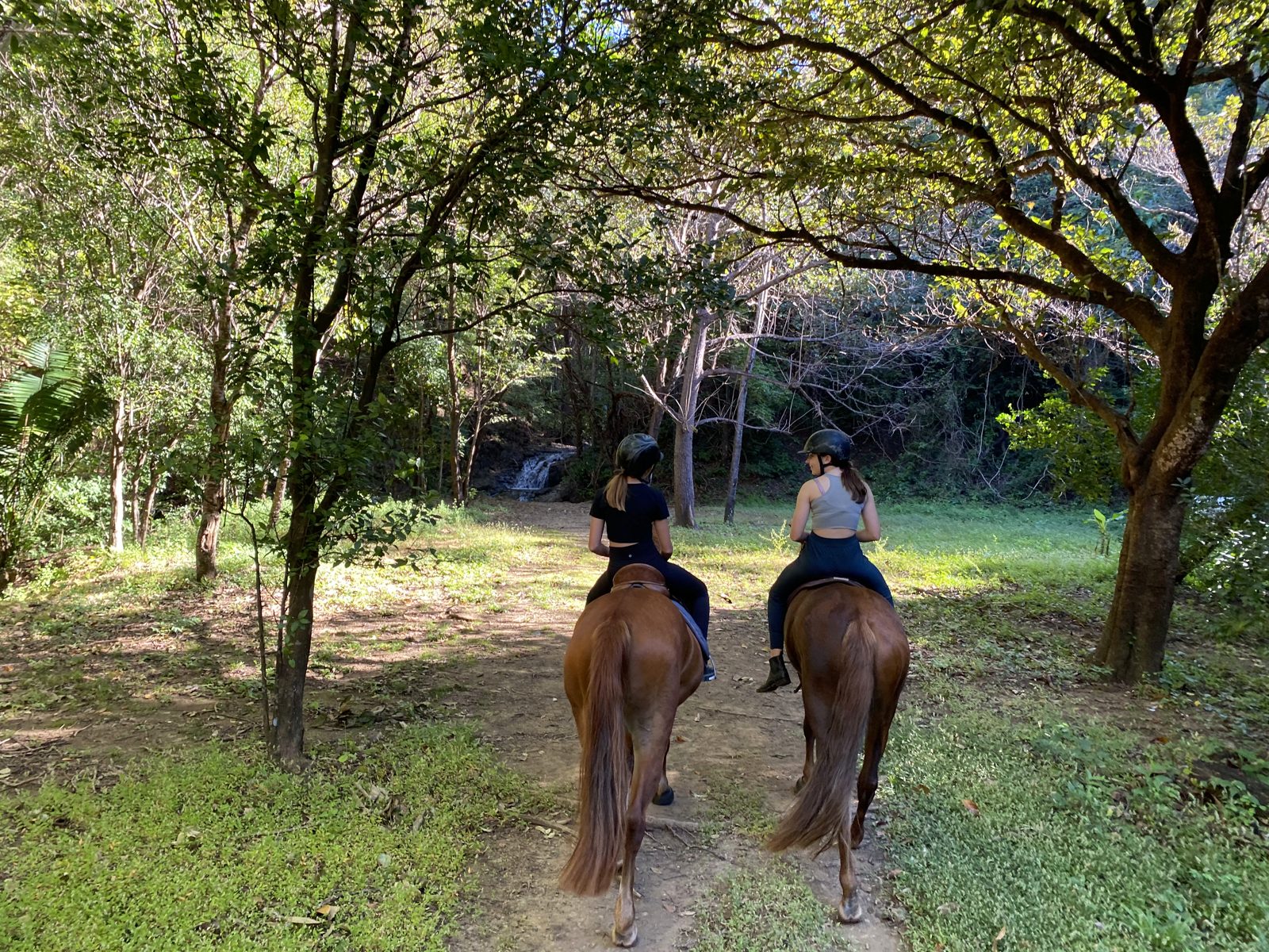 Two riders on a forest trail
