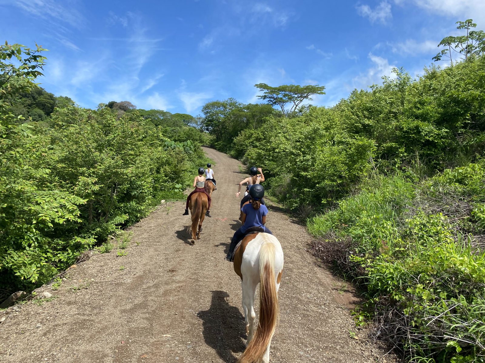 Riders heading up a jungle trail